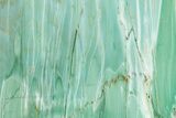 Polished Green Magneprase Slab - Western Australia #353708-1